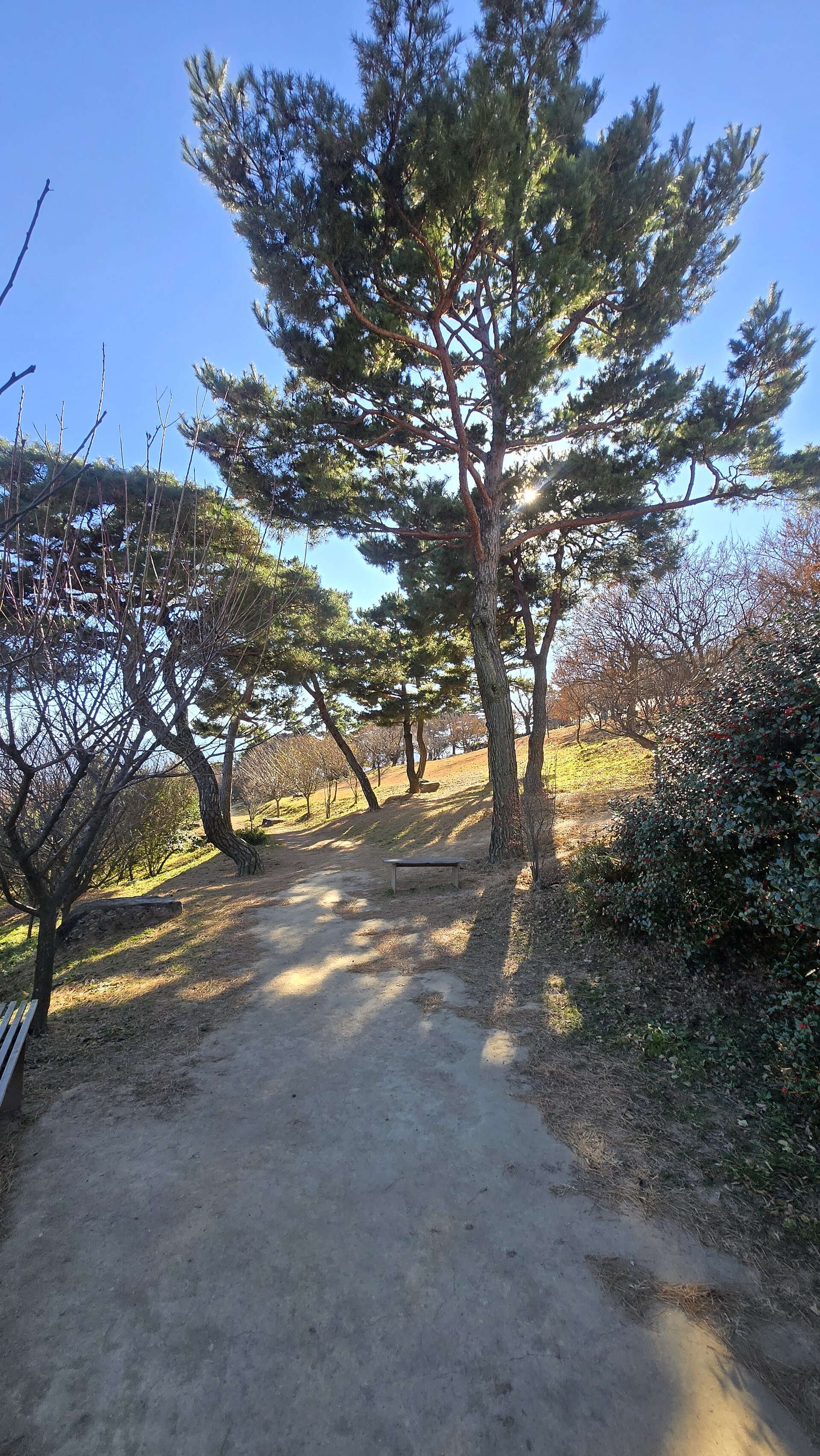 Sayuwon